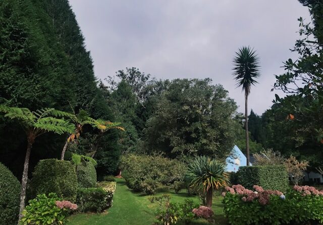 jardin des fées
